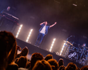 Festival Logo FLEMMING