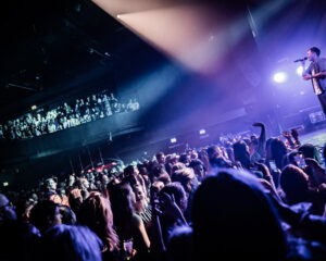 Festival Logo FLEMMING