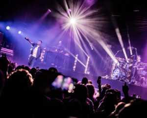 Festival Logo FLEMMING