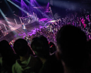 Festival Logo FLEMMING