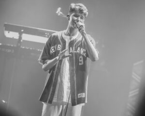 Festival Logo FLEMMING