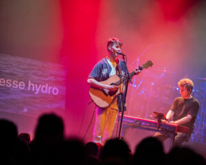 Festival Logo FLEMMING