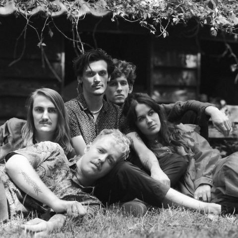  De Roos van Nijmegen