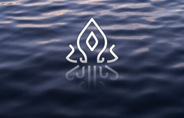 Immerge