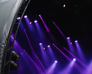 Festival Logo Manu Chao