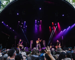 Festival Logo Manu Chao