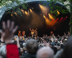 Festival Logo Manu Chao