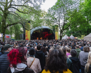 Festival Logo Manu Chao