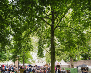 Festival Logo Manu Chao