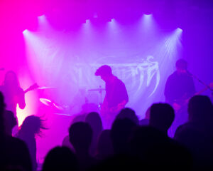 Festival Logo Sunnata