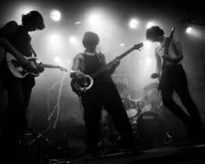 Festival Logo De Roos voorronde #1