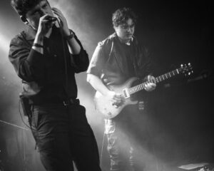 Festival Logo De Roos voorronde #1