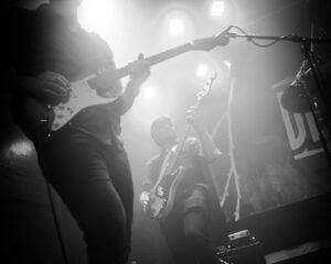 Festival Logo De Roos voorronde #1