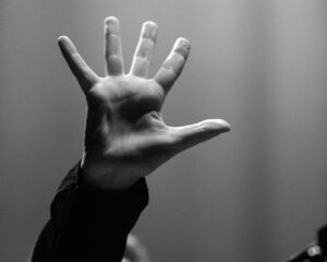 Festival Logo Kalandra + Lili Refrain