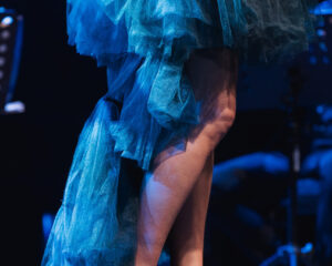 Festival Logo CocoRosie