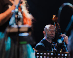 Festival Logo CocoRosie