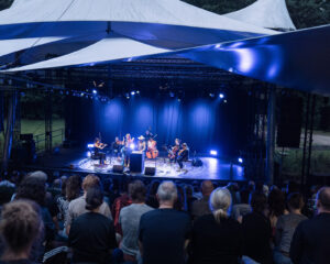 Festival Logo CocoRosie