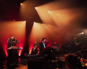 Festival Logo The Veils