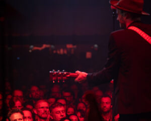 Festival Logo The Veils