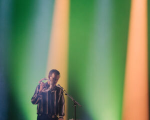 Festival Logo The Veils