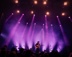 Festival Logo The Veils