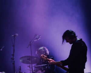 Festival Logo The Veils