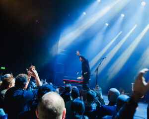 Festival Logo The Veils