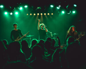 Festival Logo Cobra the Impaler