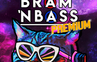 Poster Bram 'n Bass Merleyn