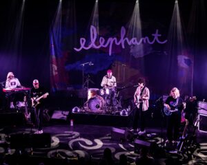 Festival Logo Elephant