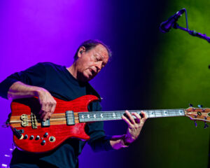 Festival Logo Level 42