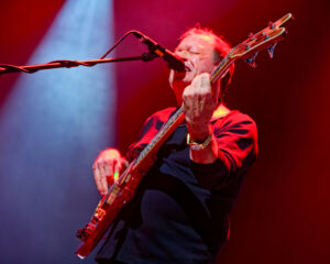 Festival Logo Level 42