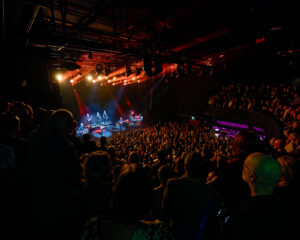 Festival Logo Level 42