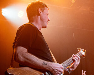 Festival Logo Blackbird