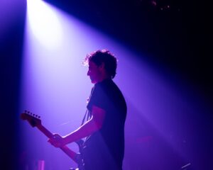 Festival Logo Typhoon