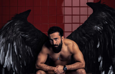 Afbeelding voor Saman Amini: Onaantastbaar