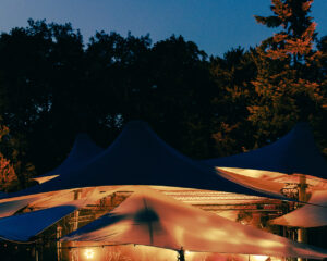 Festival Logo Chef’Special
