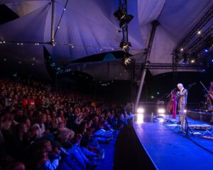 Festival Logo Spinvis