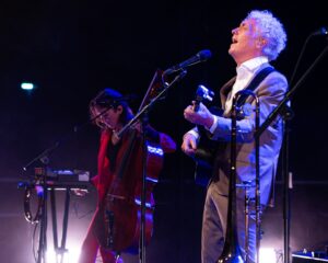 Festival Logo Spinvis