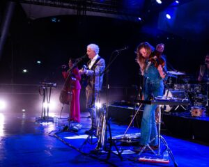 Festival Logo Spinvis