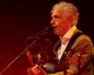 Festival Logo Spinvis