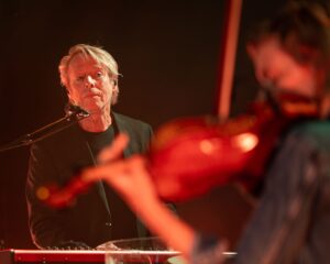 Festival Logo Spinvis