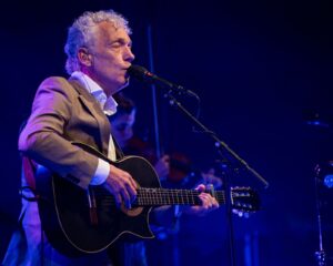 Festival Logo Spinvis