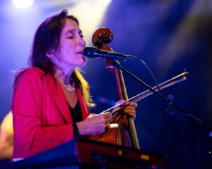 Festival Logo Spinvis