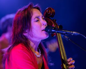 Festival Logo Spinvis