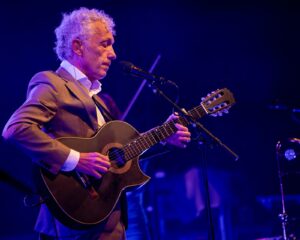 Festival Logo Spinvis