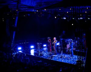 Festival Logo Spinvis