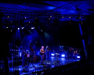 Festival Logo Spinvis