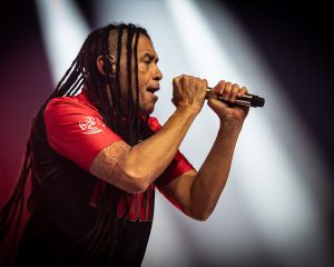 Festival Logo Lacuna Coil