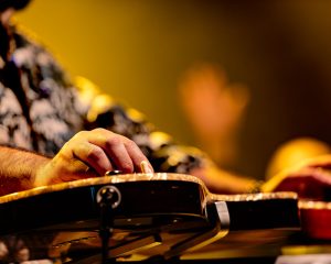 Festival Logo De Niemanders